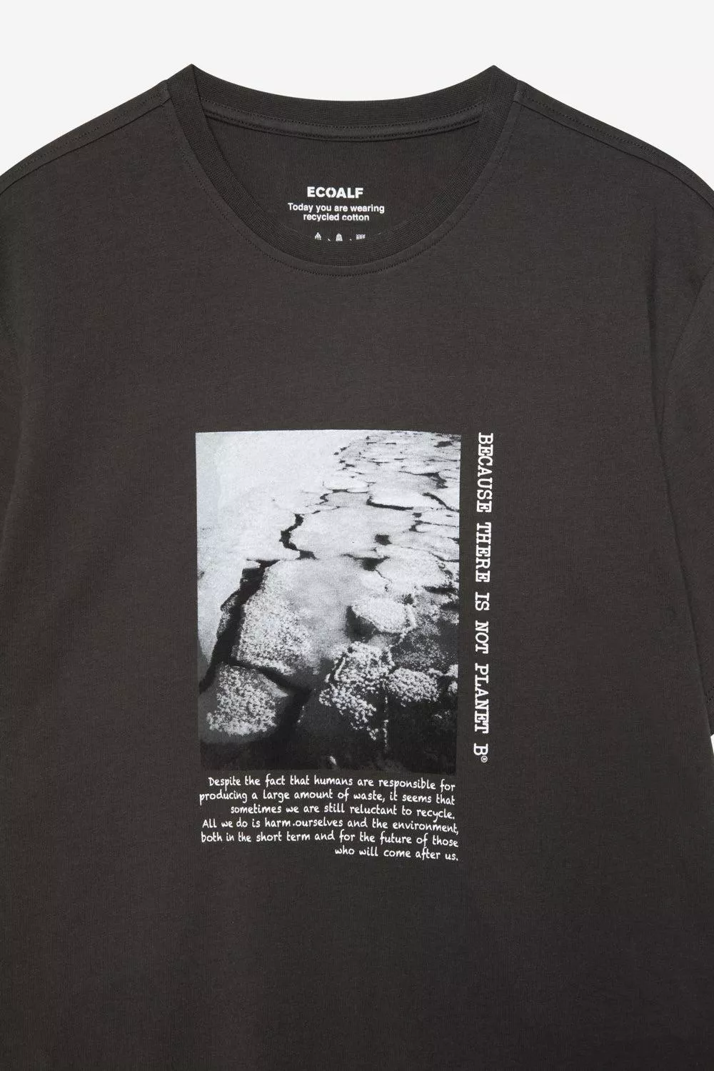 Camiseta Serta - Image 3