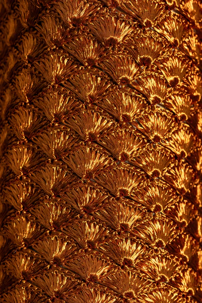 Sobre Clutch Cobre - Image 3