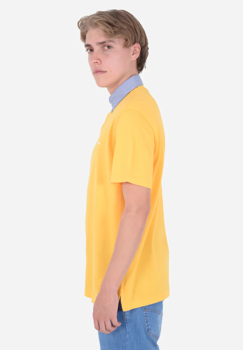 Polo Harmont & Blaine - Image 2