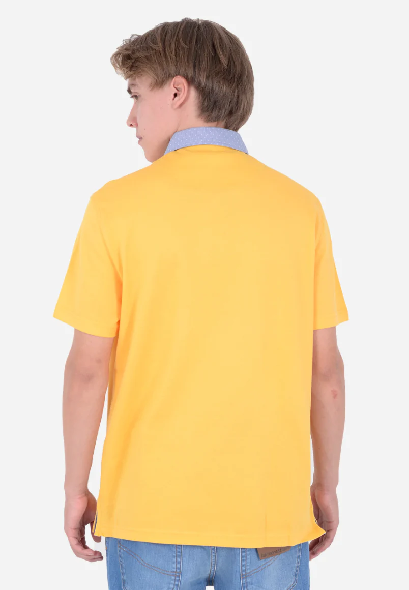 Polo Harmont & Blaine - Image 3