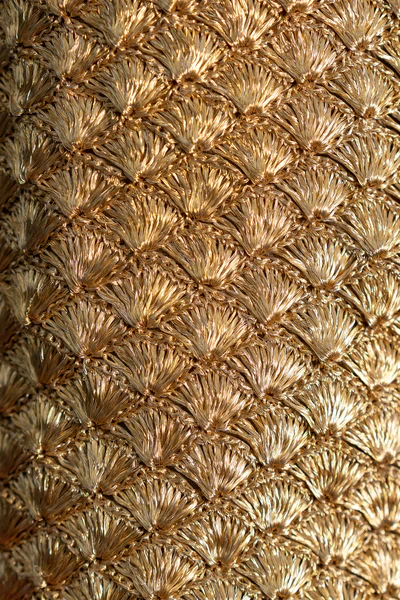 Mochila Seashell Oro - Image 3
